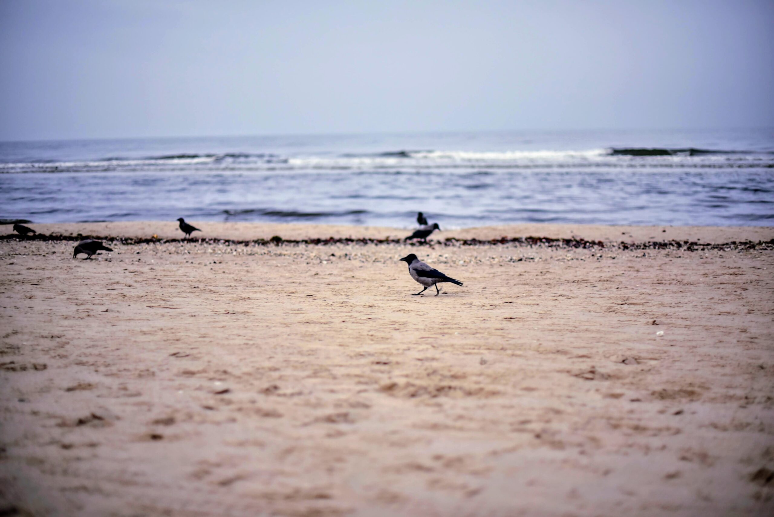 Ostsee im Winter
